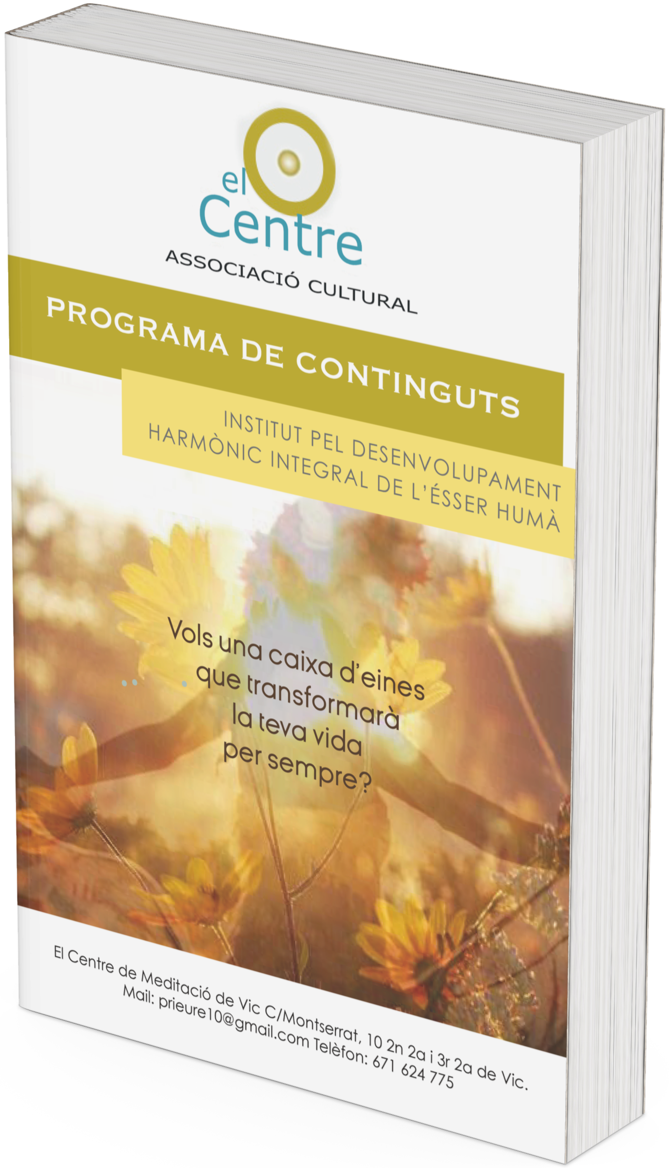 Descarrega el programa de continguts del centre