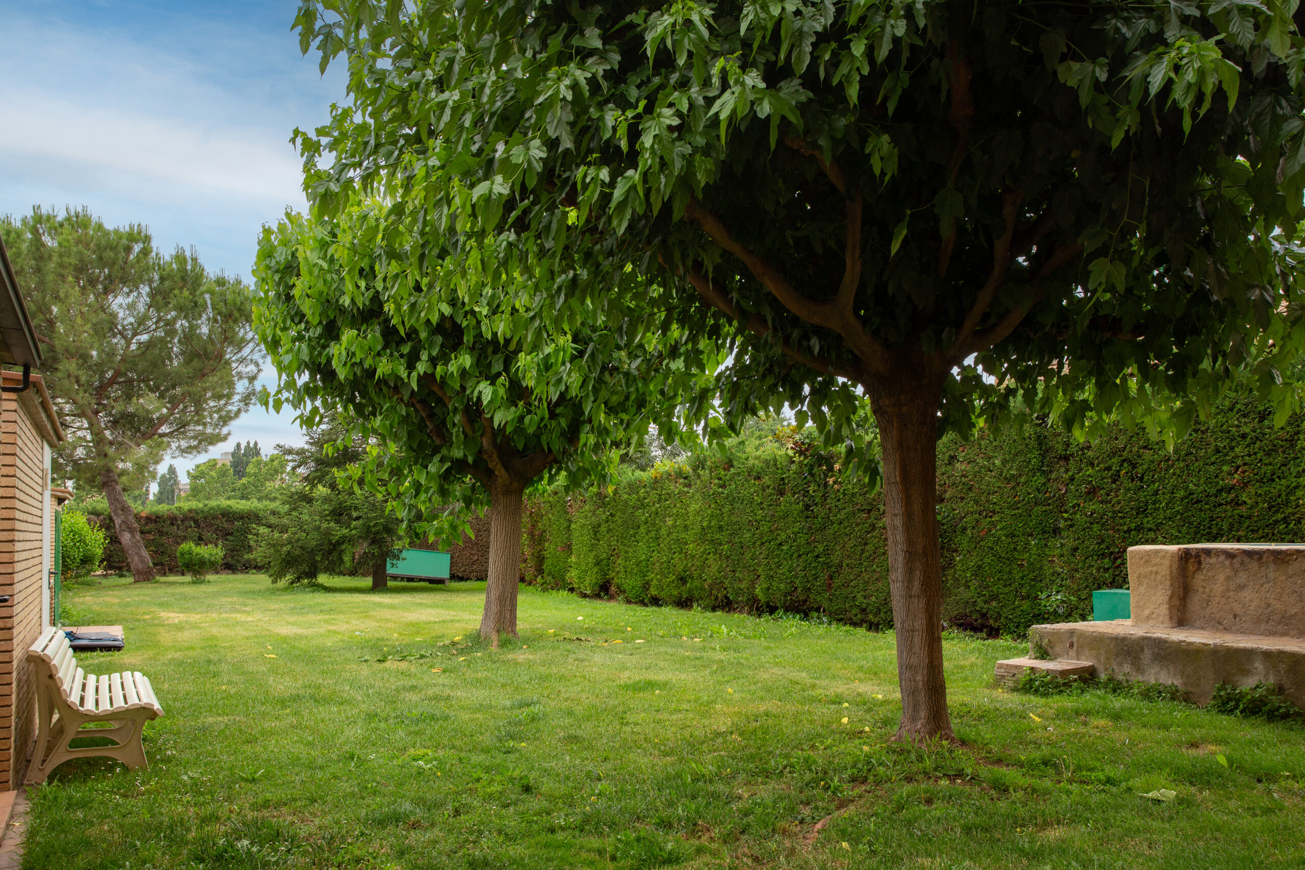 El jardí del Centre
